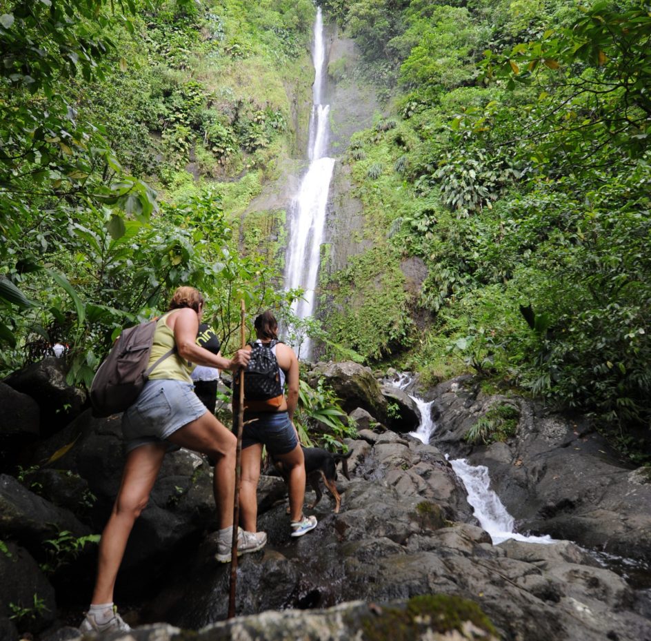 Activité en Guadeloupe : partir en randonnée vers les chutes Moreau