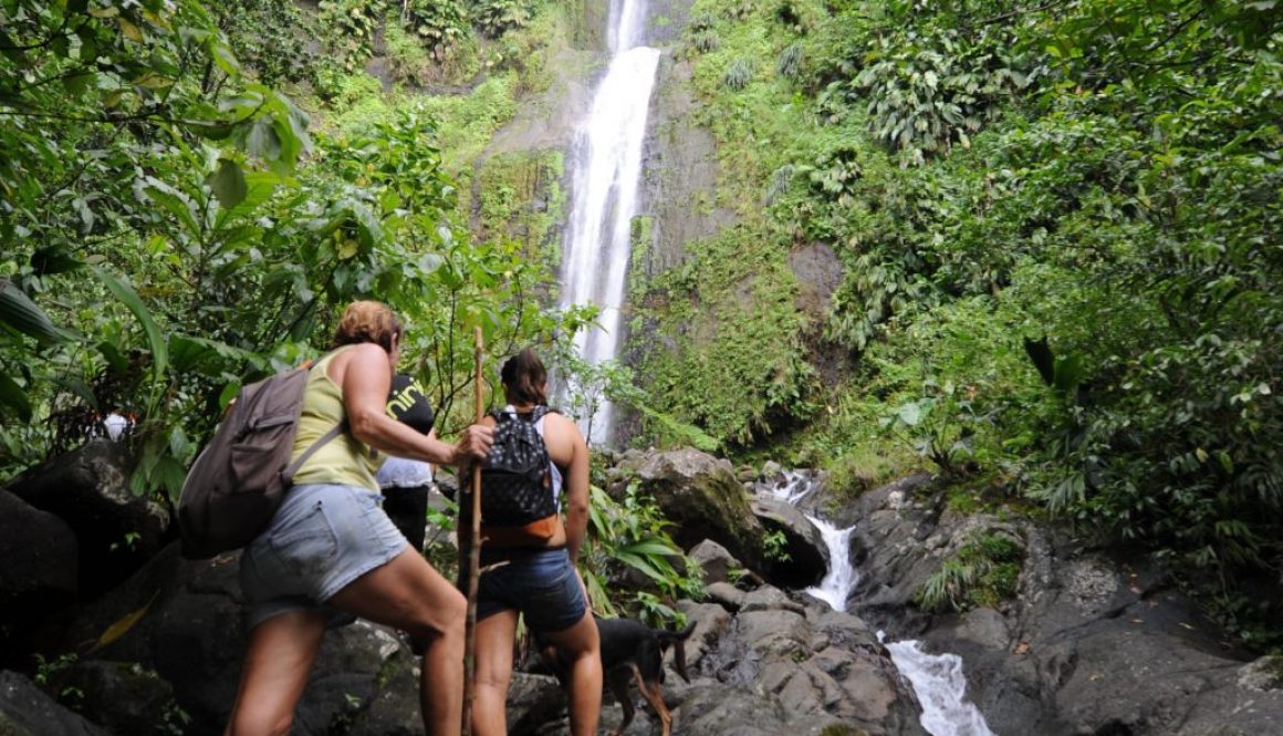 Activité en Guadeloupe : partir en randonnée vers les chutes Moreau