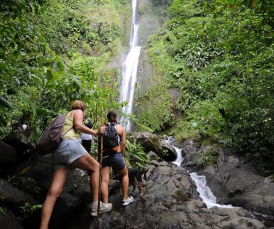 Activité en Guadeloupe : partir en randonnée vers les chutes Moreau