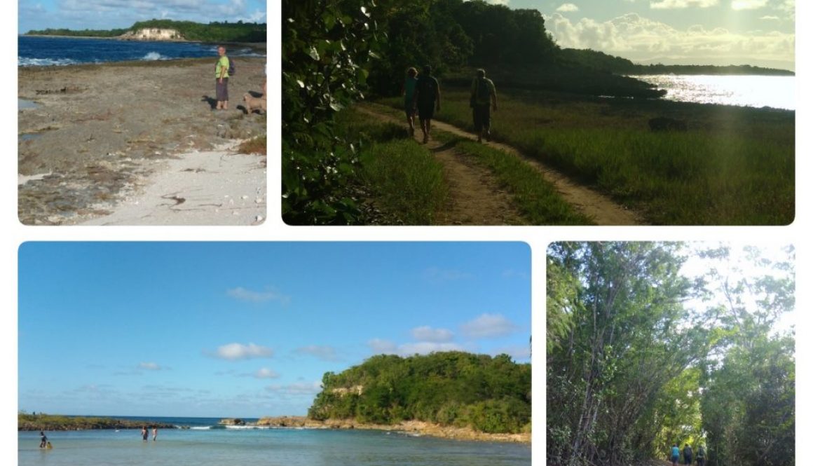 Découvrir la Guadeloupe depuis le gîte : randonnée entre Anse Bertrand et Port Louis