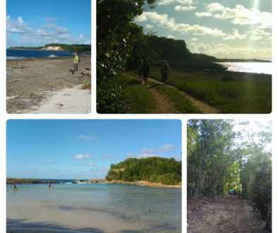 Découvrir la Guadeloupe depuis le gîte : randonnée entre Anse Bertrand et Port Louis