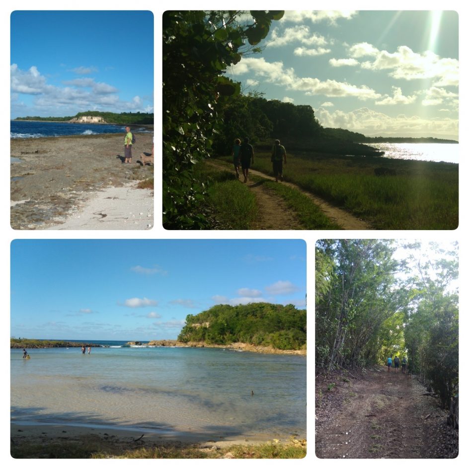 Découvrir la Guadeloupe depuis le gîte : randonnée entre Anse Bertrand et Port Louis